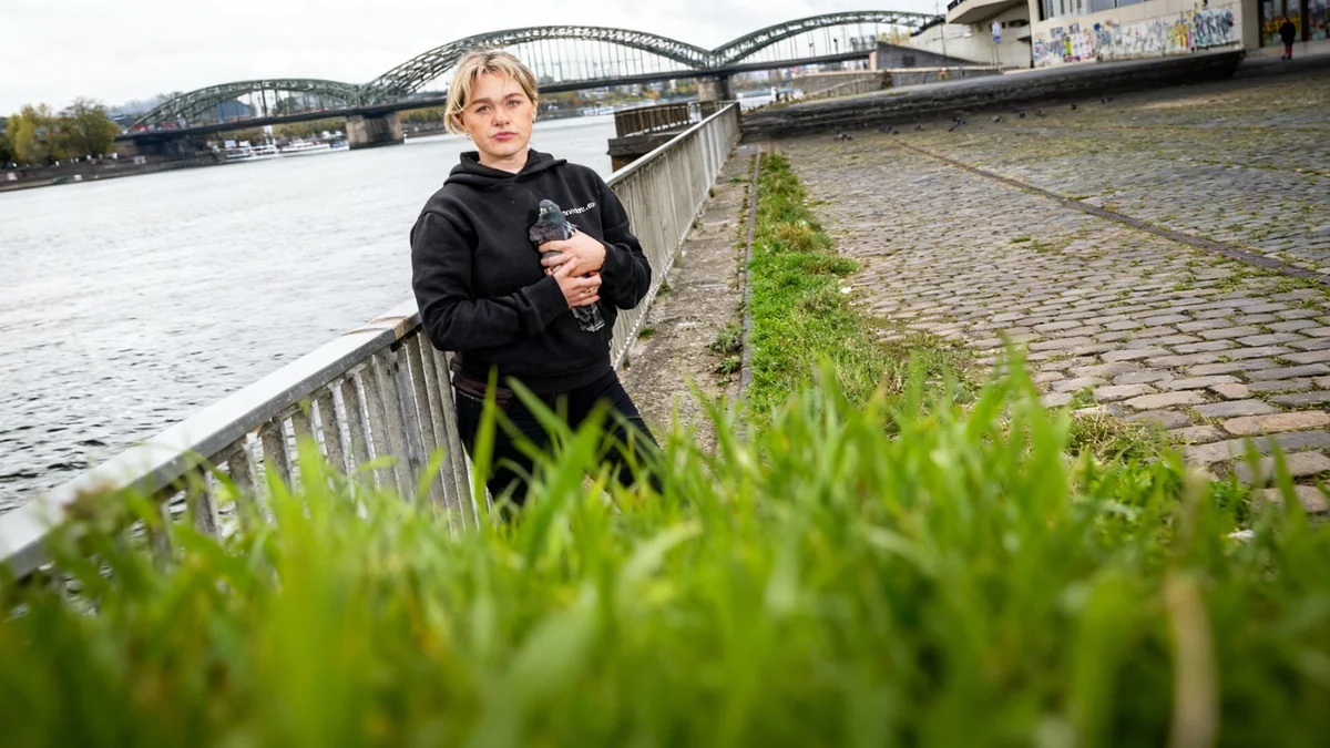 Massensterben in Köln: 80 Tauben tot – Giftverdacht in Deutz