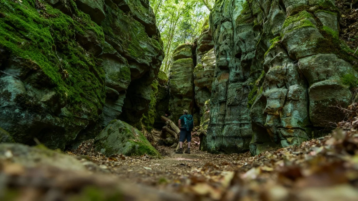Wanderführer Rheinland-Pfalz: 10 beeindruckende Schluchten