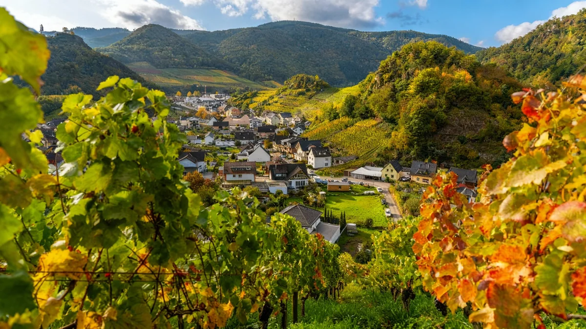Märkte, Feste und Halloween in Rheinland-Pfalz