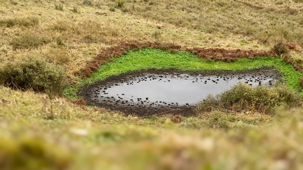 Feuer in Köln-Bickendorf: Person mit schweren Verletzungen gerettet